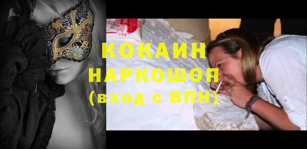 стафф Алексин