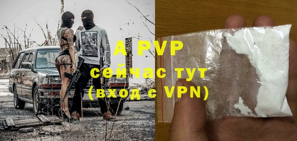 стафф Алексин