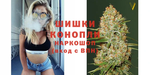 стафф Алексин