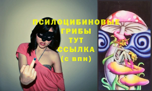 стафф Алексин